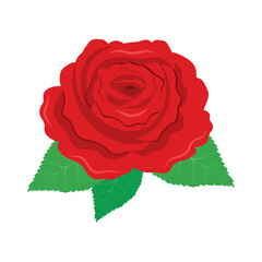 Red rose one flower icon vector. Red rose flower icon isolated on a white background. Beautiful red bloom clip art