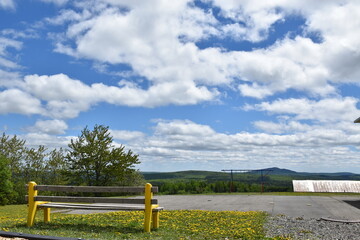 A bench under a blue sky