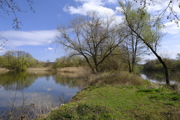 Sander Baggerseen im Naturschutzgebiet Mainaue bei Augsfeld, Landkreis Hassberge, Unterfranken, Franken, Bayern, Deutschland.