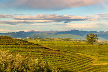 Spring sunset in the vineyards of Rosazzo