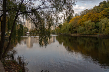 Fototapeta na wymiar Lake in the city park
