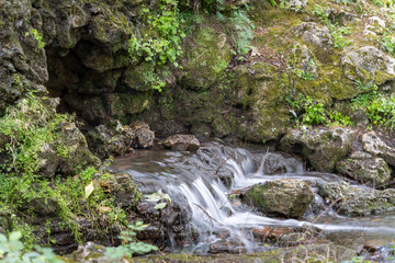 Fototapeta premium Water flowing along the stones covered with moss in the middle of nature, in spring