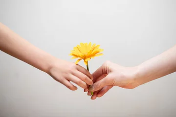 Foto op Canvas 黄色い花を手渡す親子の手 © hakase420