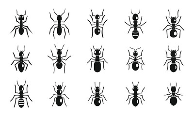Cute ant icons set, simple style