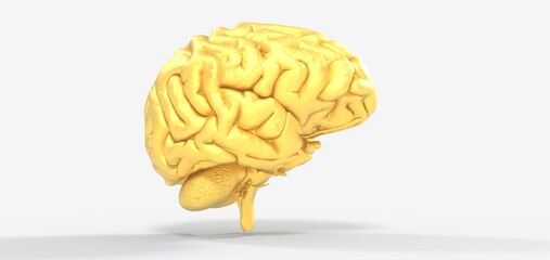 Colorful polygonal 3D brain illustration on BG.