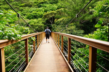 Man walking on wooden bridge at Yambaru National Park in Okinawa, Japan - 沖縄...