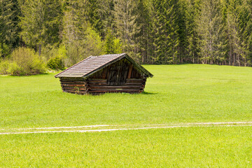 Holzhütte vor Wald in grüner Wiese
