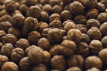 Walnuts close up. Lots of nuts. Nuts in the shell.