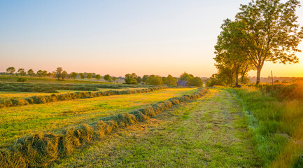 Fototapeta na wymiar Sundown over fields and trees in a green hilly grassy landscape under a colorful sky in sunlight in springtime, Voeren, Limburg, Belgium, June, 2021