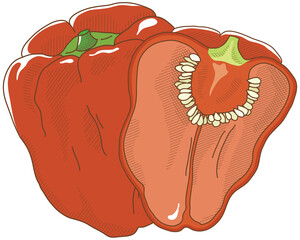 赤色パプリカ・断面