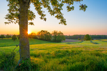 Sundown over fields and trees in a green hilly grassy landscape under a colorful sky in sunlight in...
