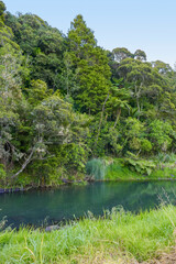 Fototapeta na wymiar River at Auckland Region