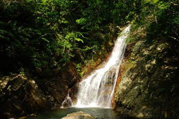Fototapeta na wymiar Hiji waterfall, Hijiotaki, Okinawan national park - 比地大滝 沖縄