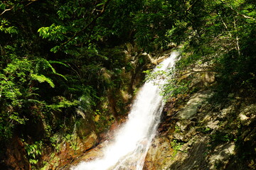 Obraz premium Hiji waterfall, Hijiotaki, Okinawan national park - 比地大滝 沖縄