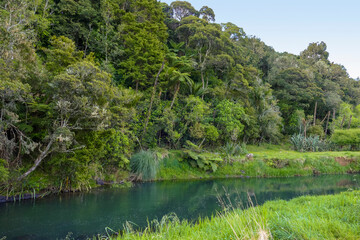 River at Auckland Region