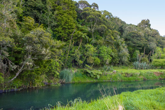 River At Auckland Region