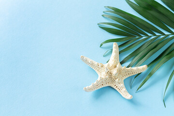 Fototapeta na wymiar Starfish sea shell and tropical palm leaf on blue background close-up