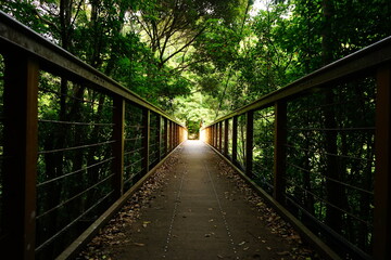 Fototapeta na wymiar Wooden bridge at Yambaru National Park in Okinawa, Japan - 沖縄 やんばる国立公園 橋