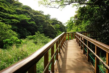 Fototapeta na wymiar Wooden trail at Yambaru National Park in Okinawa, Japan - 沖縄 やんばる国立公園 木製の遊歩道