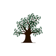 tree and leaves icons vector illustration