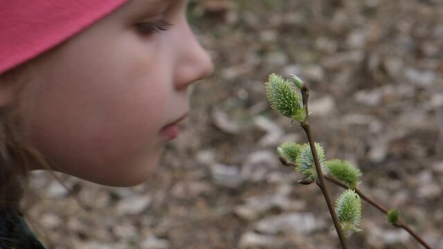 Little girl in nature inhaled the smell of a flowering willow. Slow motion