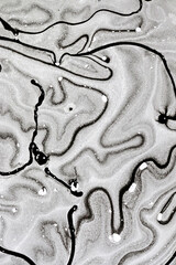 Black Ink, paint. Closeup abstract painting background. Highly-textured oil paint.