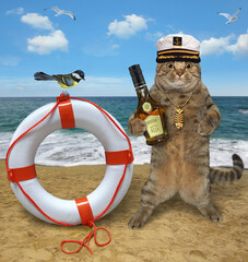 A beige cat captain in a sailor hat with a bottle of rum stands near a lifebuoy by the sea.