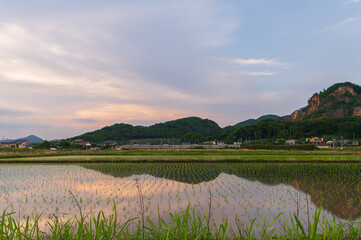 Fototapeta na wymiar 日本の田舎
