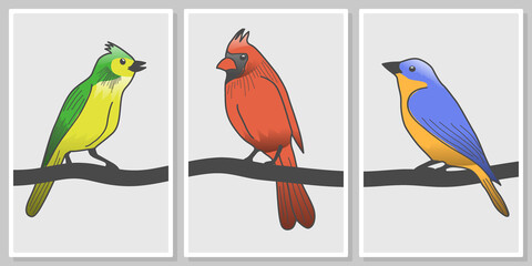 three colorful birds - wall art vector set, for wall art, poster, wallpaper, print
