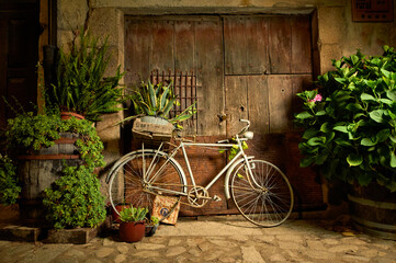 Fototapeta na wymiar Front view decorative bicycle with plants on antique wooden door at night
