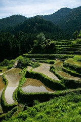 ネイチャープール