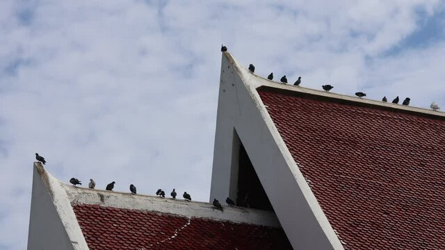 Pigeons perched on the roof of a building.