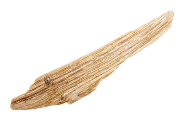 Piece of driftwood isolated on white