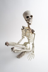 squelette humain en matière plastique sur fond blanc
