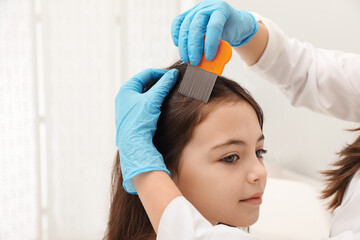 Doctor using nit comb on little girl's hair indoors. Anti lice treatment - obrazy, fototapety, plakaty