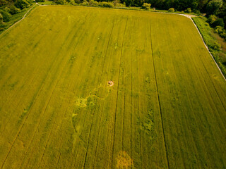 Aerial drone view of the wide grass field in the Netherlands