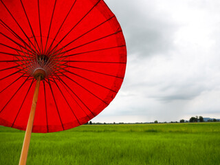 Red umbrella with green rice field and blue sky as background with copy space. Countryside in Thailand.