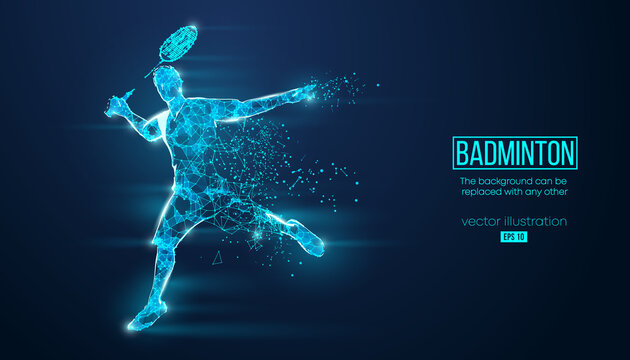 Badminton Player Vector Images – Browse 31,716 Stock Photos, Vectors, and  Video | Adobe Stock