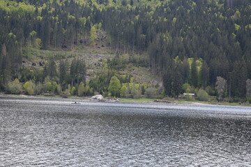 sailing at Schluchsee