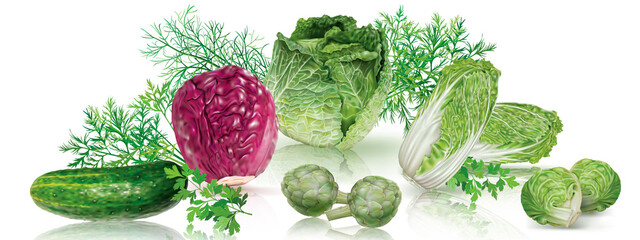 Composition of fresh cabbages and cucumber, artichokes on a transparent background. Mesh vector illustration
