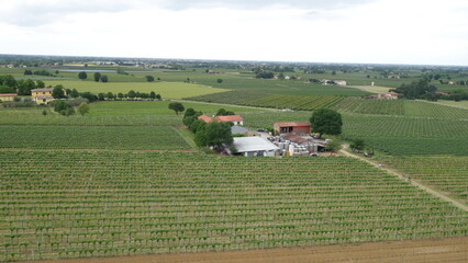 Azienda agricola e vitigno