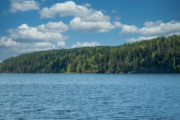 Lake against the background of the forest and blue sky with clouds