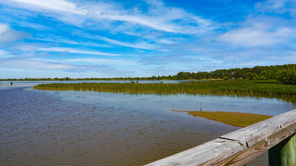 Interstate in Mobile and Alabama swamp landscape in summer