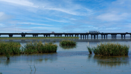 Interstate in Mobile and Alabama swamp landscape in summer