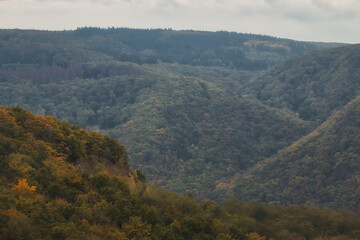 Mountains and valleys in a German forest on a fall day.