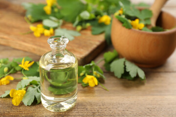 Bottle of natural celandine oil near flowers on wooden table, closeup. Space for text