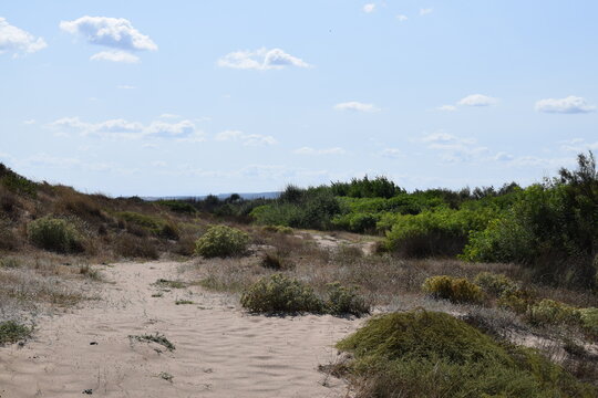 Valras Plage Sud France
