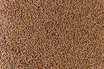 Closeup of buckwheat groats background