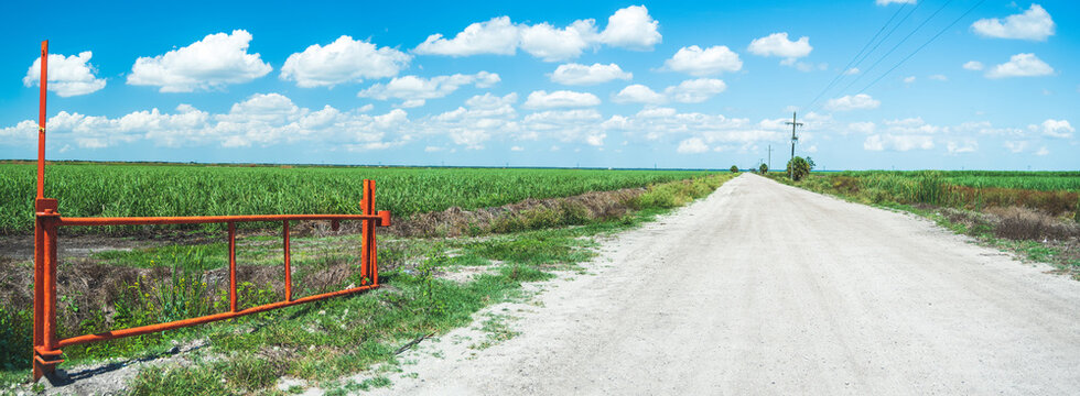 An Orange Gate Against A Bright Blue Sky W Beautiful Puffy White Clouds Overlooking A Massive Sugar Cane Field In Florida, A Contributor To Red Tide