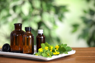 Bottles of celandine tincture and plant on wooden table outdoors, space for text